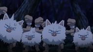 The leak states that Primeape will receive a regional evolution (Image via The Pokemon Company)